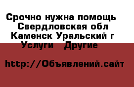 Срочно нужна помощь  - Свердловская обл., Каменск-Уральский г. Услуги » Другие   